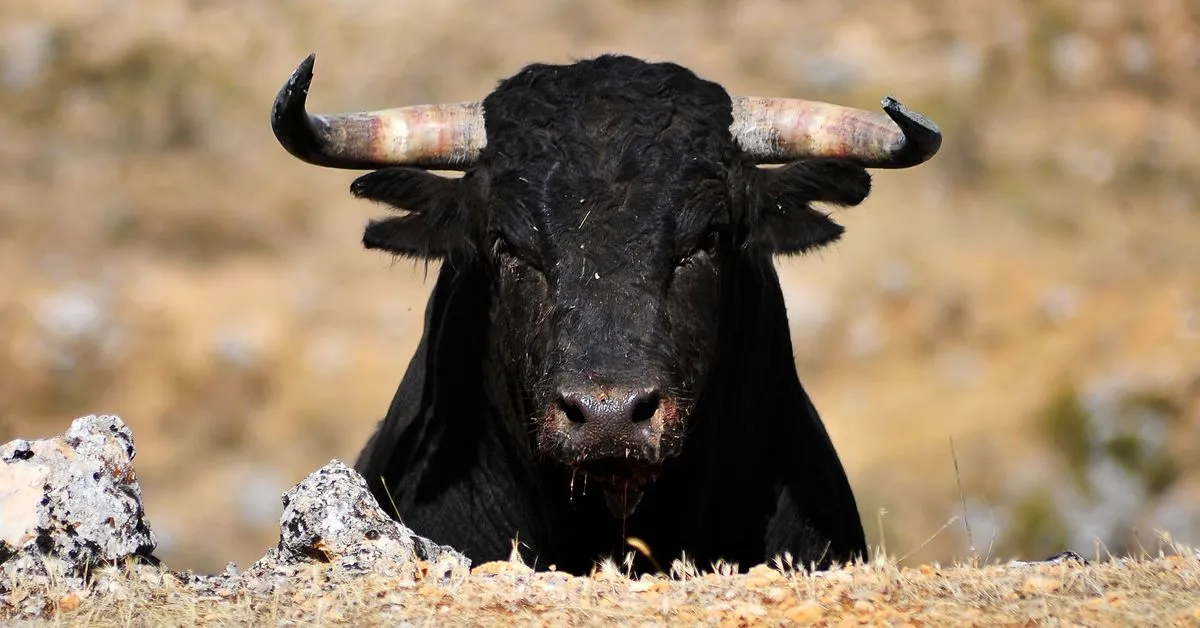 Taurus Links with Ethereum Scaling Network Polygon to Support Tokenization