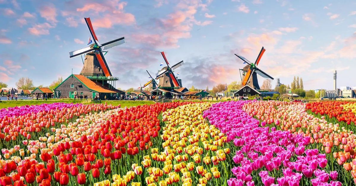 Binance Leaves Netherlands After Failing to Obtain VASP License