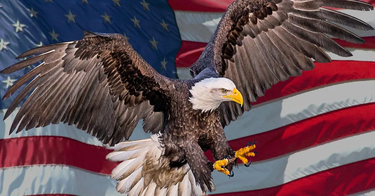 Congress Disagrees with SEC’s Crypto Regulation: Is the SEC Overstepping Its Authority?