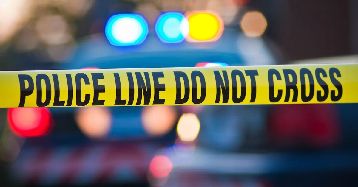 Atomic Wallet Hacked: Police of Estonia and Kazakhstan Investigating