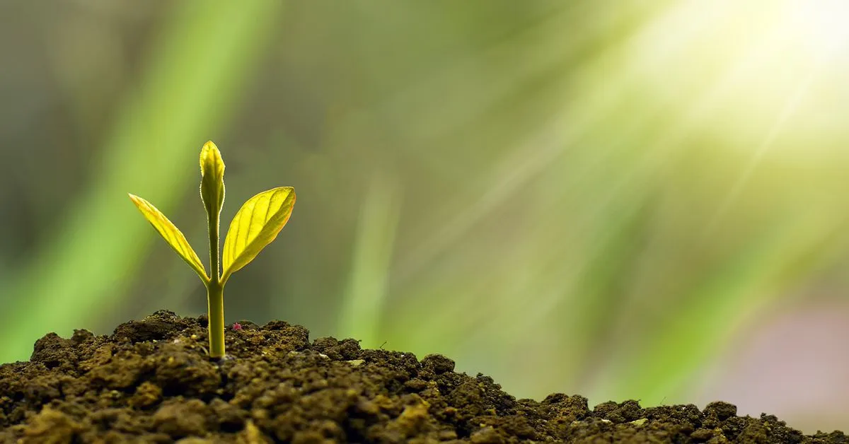 Carbon Opportunities Fund Settles First Tokenized Carbon Credit Transactions on Chia Blockchain