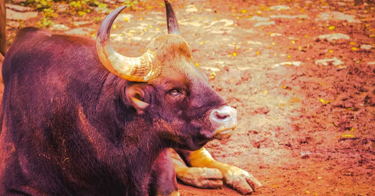 Crypto Markets Rebound Despite Regulatory Troubles for Binance and Coinbase