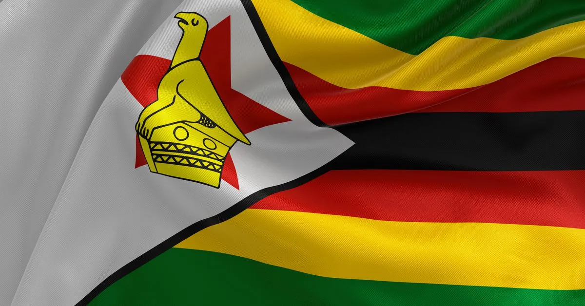 Zimbabwe’s Gold-Backed Digital Token Unlikely to Stabilize Local Currency