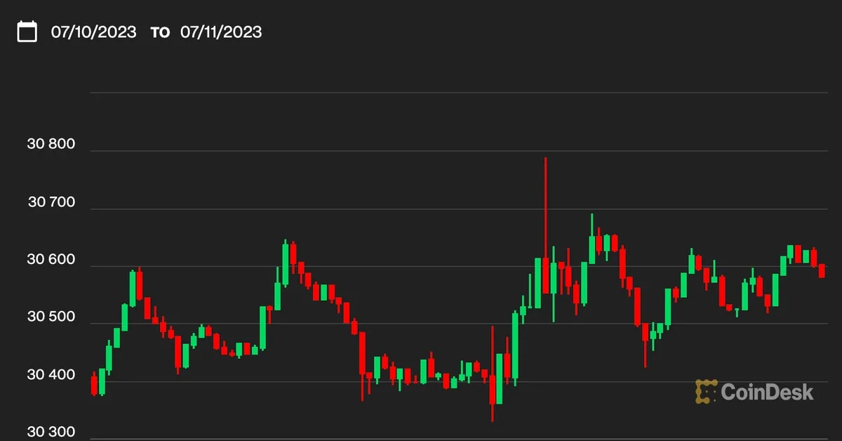 Bitcoin Price Stays Above $30,000, But Will We See a Bull Market in 2024?