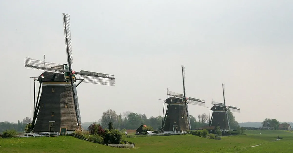 Binance Refers Dutch Customers to Rival Crypto Exchange Coinmerce