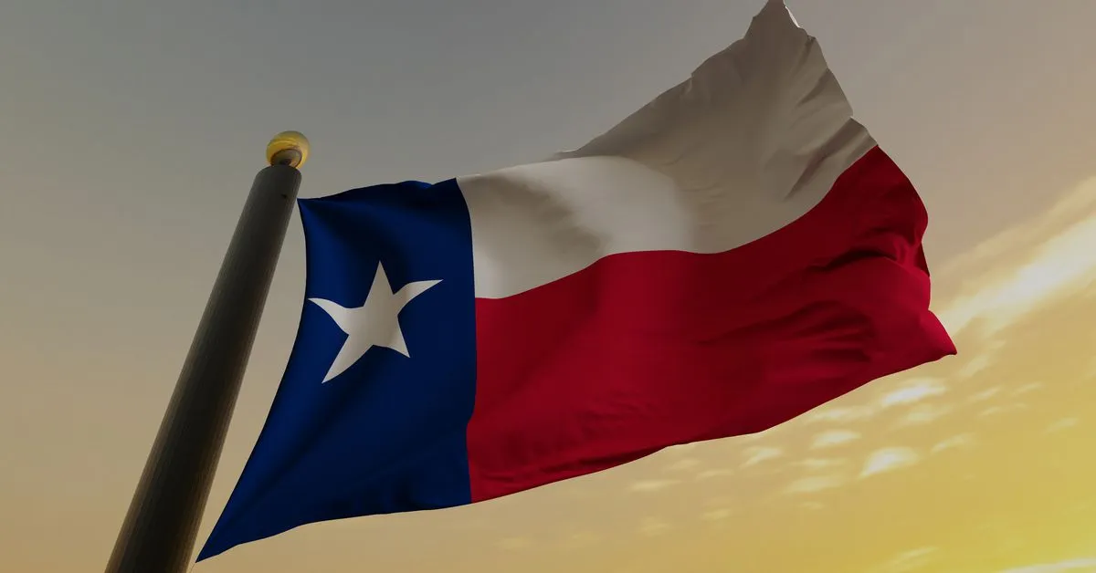 Why Bitcoin Miners Flock to Texas: Exploring the Duck Curve