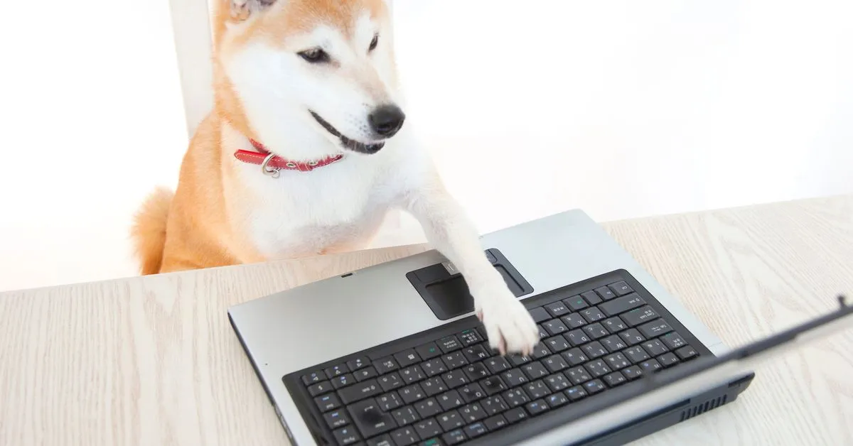 Early Shiba Inu Investor Moves $30 Million Worth of Tokens