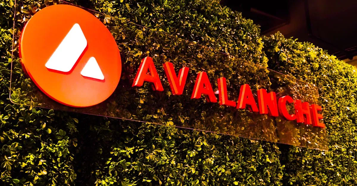 Avalanche Foundation to Purchase $50 Million of Tokenized Assets