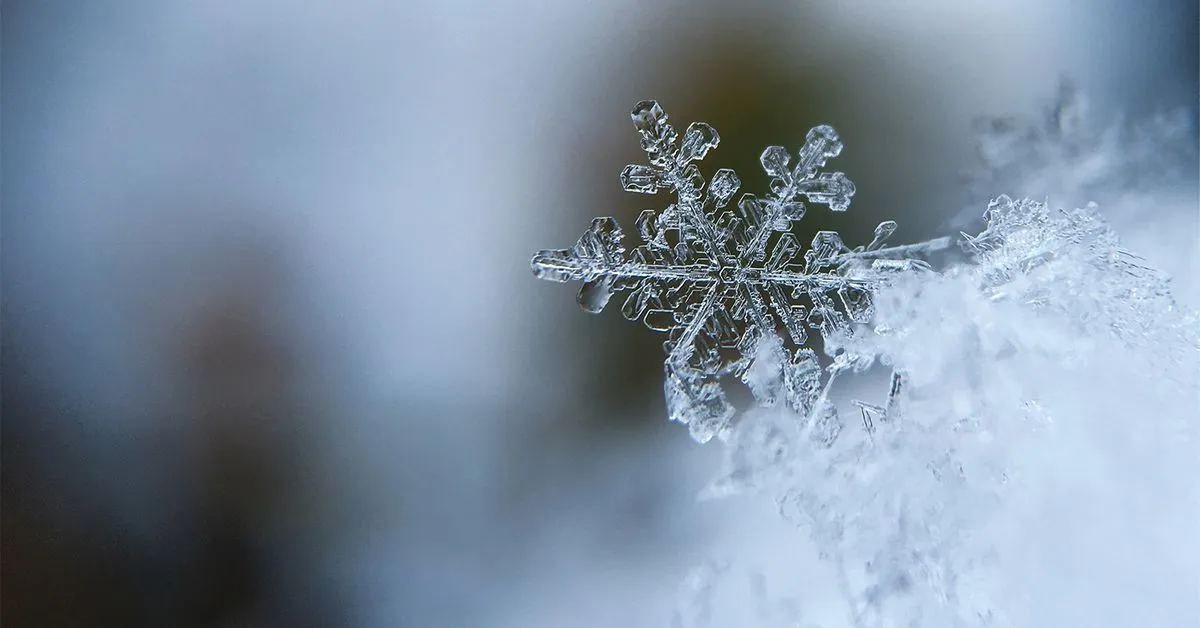 Wintermute Trading Withdraws 8 Million ARKM Tokens from Binance