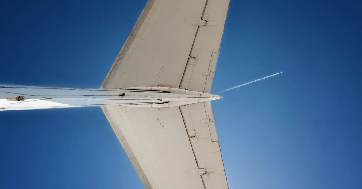 Tail Risk in Crypto Market: Traders Fear Rare Event in Bitcoin