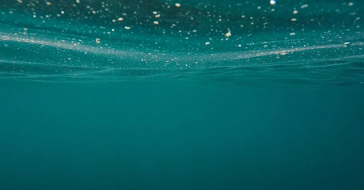 Onchain Data Shows Short-Term Bitcoin Holders Underwater After Price Slide