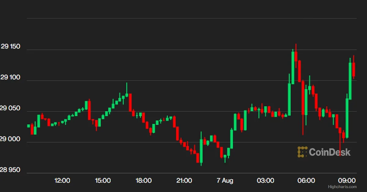 Bitcoin Remains Stagnant at $29K, DeFi and Crypto Radicals Emerge