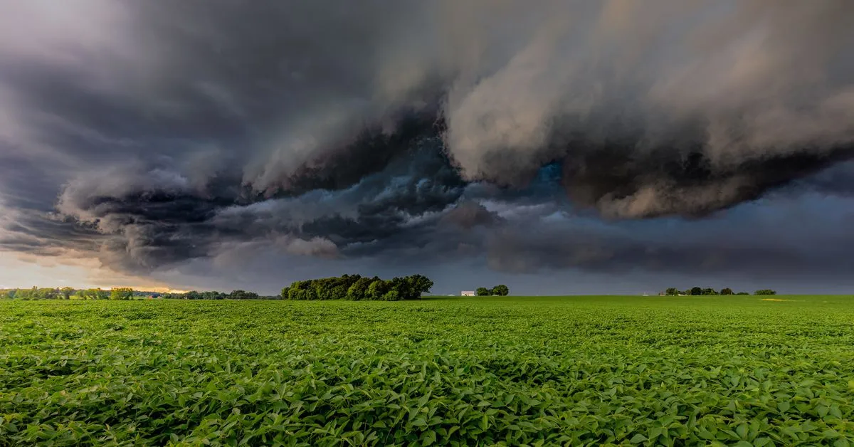 Federal Judge Rules Treasury Department Within Bounds to Sanction Tornado Cash