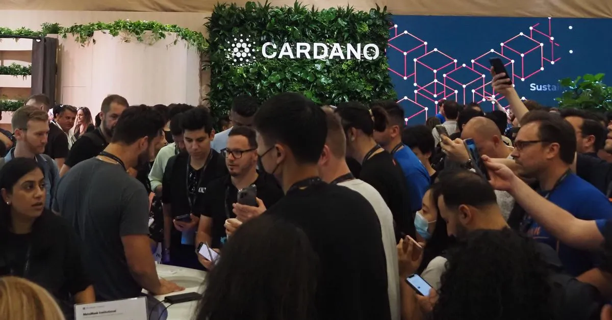 Cardano Blockchain Activity Grows Amid Technical Improvements and Developer Interest