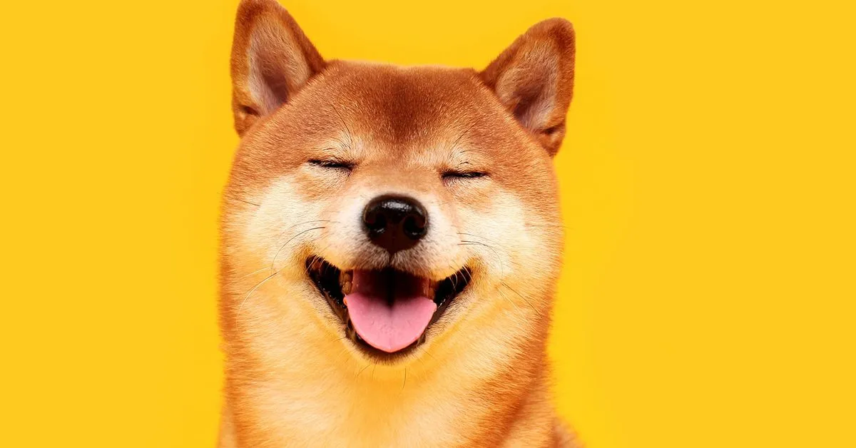 Shiba Inu Developers Push Live Shibarium Blockchain