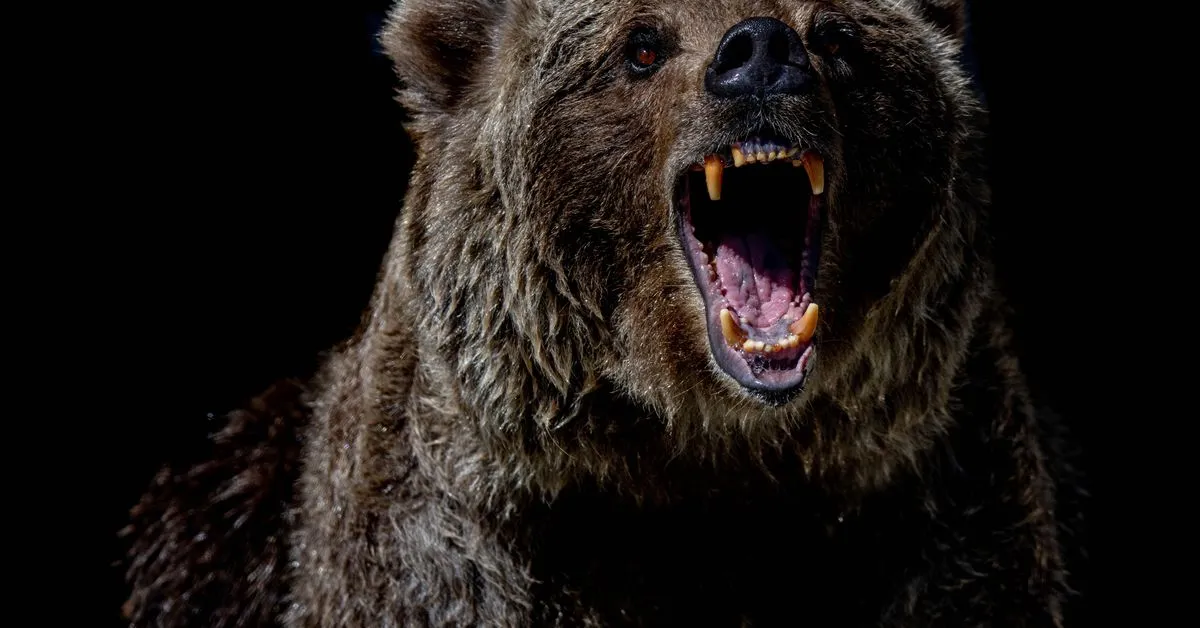 Bitcoin Dips Below $26,000 as Crypto Market Remains Bearish