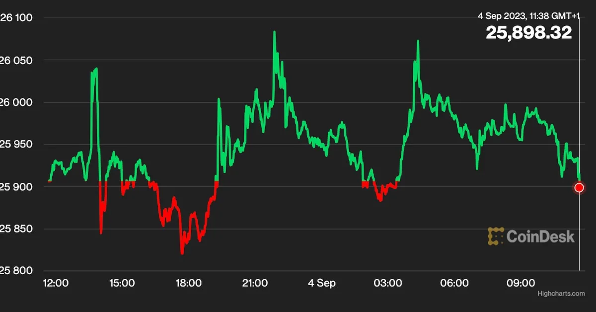 Bitcoin Price Stays Steady as SEC Delays ETF Decisions, Stellar XLM Sees Gains